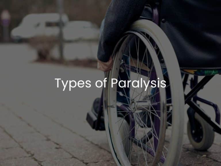 Types of Paralysis