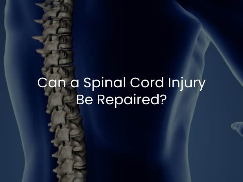 Can a Spinal Cord Injury Be Repaired?