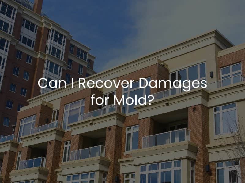 Can I Recover Damages for Mold?
