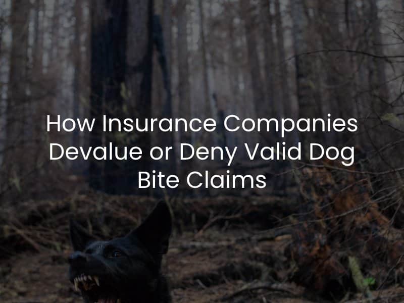 How Insurance Companies Devalue or Deny Valid Dog Bite Claims