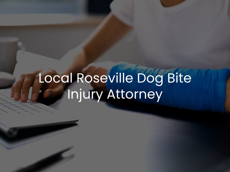 Arm injury in a bandage after sustaining a dog attack